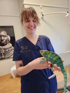 Tierärztin Inga mit Pantherchamäleon
