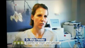 Hundkatzemaus-Interview-Mirja-Fenske