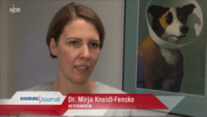 Interview NDR Hamburg Journal Igel in Not mit Dr.Fenske