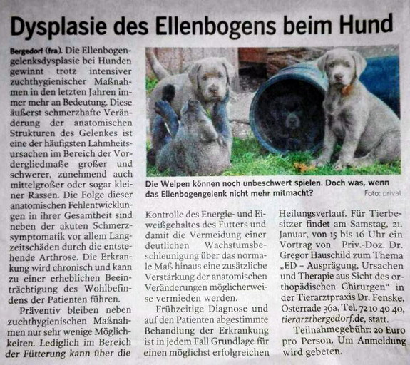Zeitungsartikel Bergedorfer Zeitung Dysplasie des Ellenbogens beim Hund