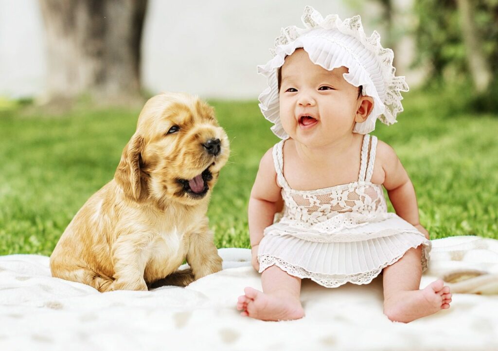 Ein Baby und Tiere Hundewelpe