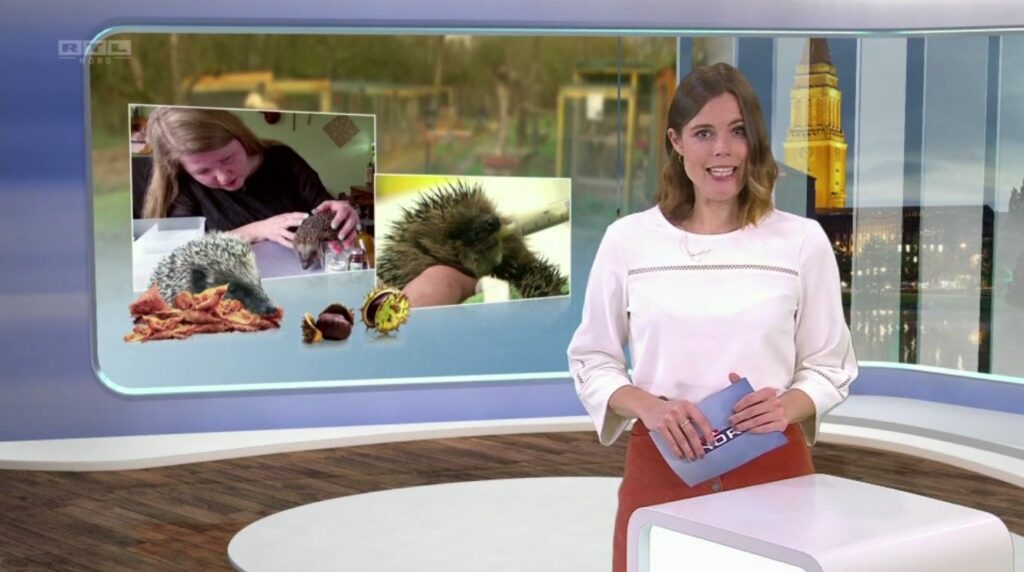 RTL Nord beim Tierarzt-Sendung-Moderatorin