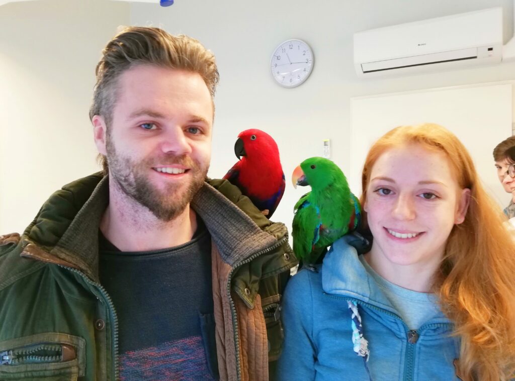 valentinstag-für-Papageien-Paar
